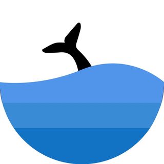 underwater 